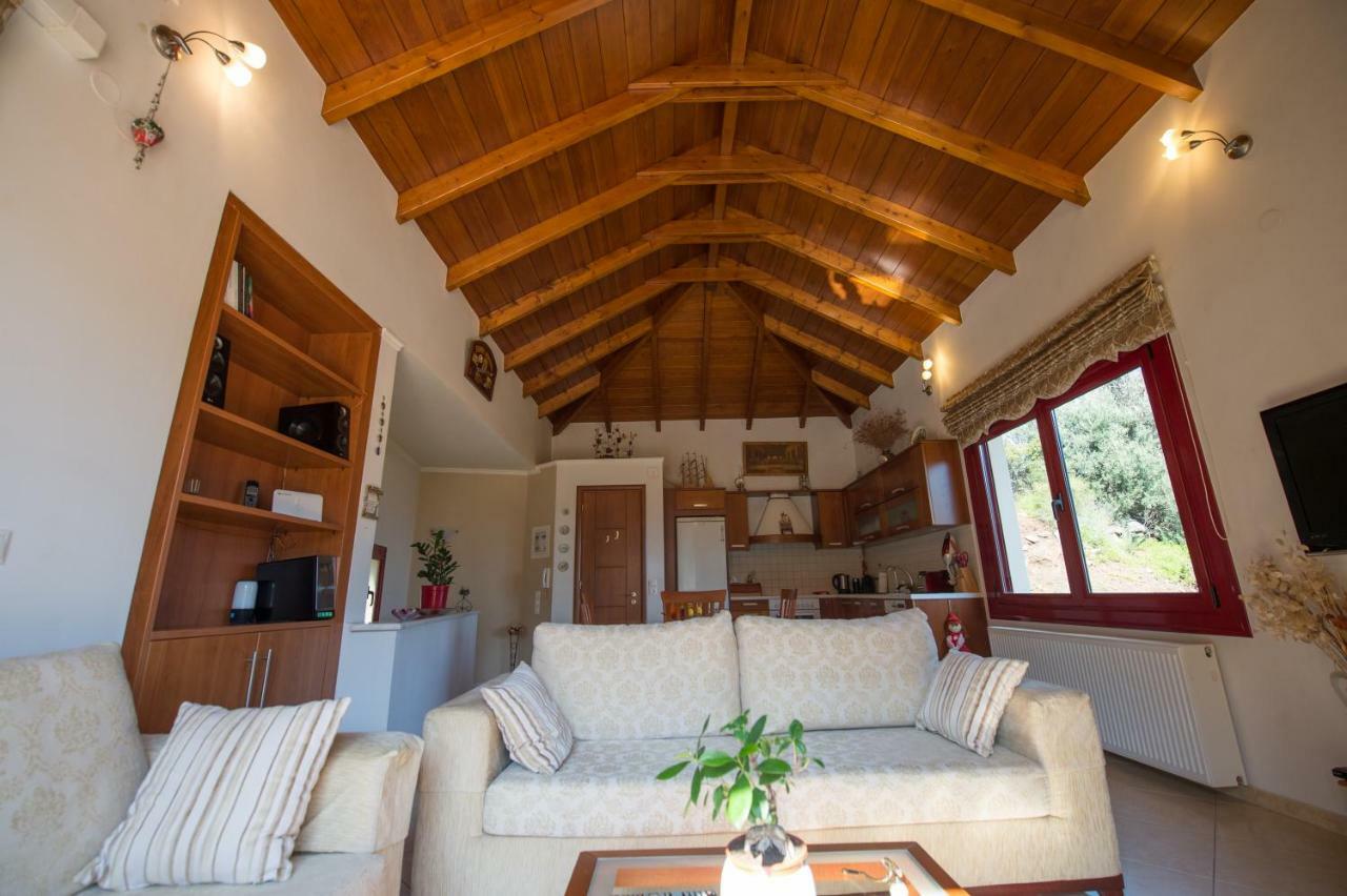 Irene'S Comfort Villa เนอา เอปิดาวรอส ภายนอก รูปภาพ