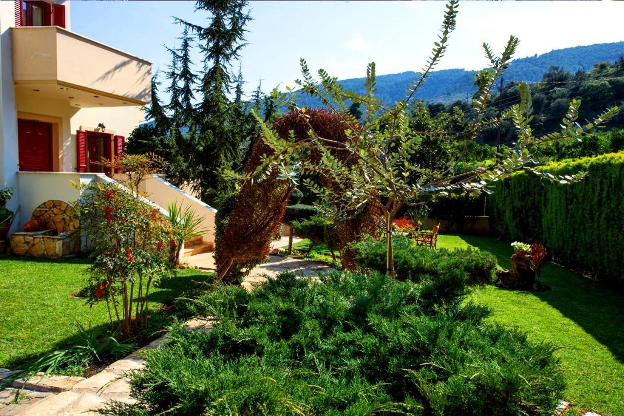 Irene'S Comfort Villa เนอา เอปิดาวรอส ภายนอก รูปภาพ